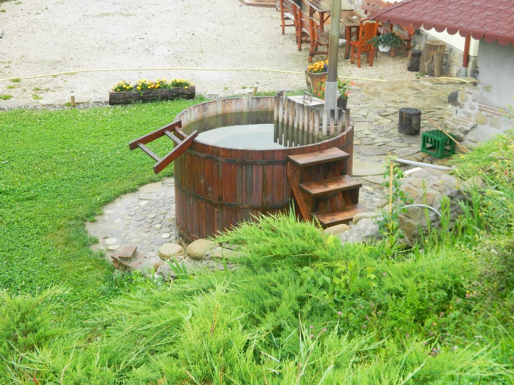 Pensiunea Violeta Saschiz Buitenkant foto