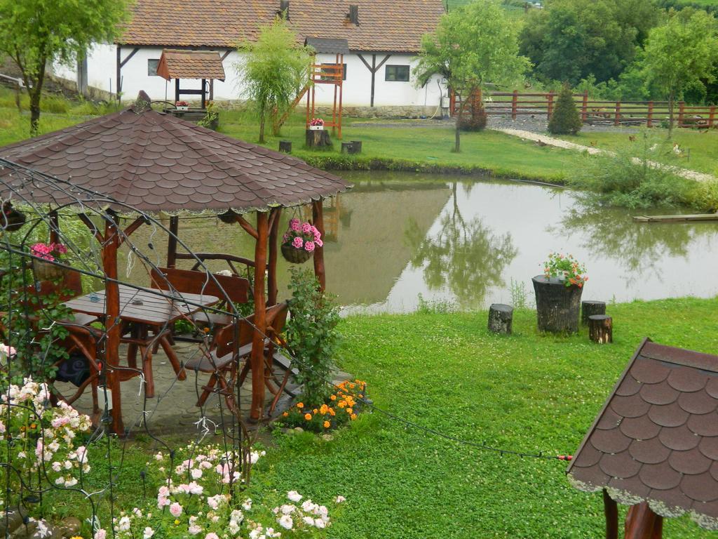 Pensiunea Violeta Saschiz Buitenkant foto