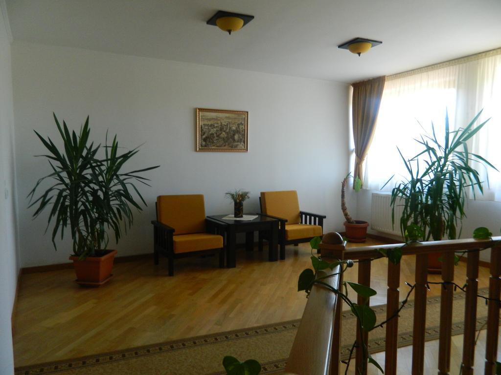 Pensiunea Violeta Saschiz Buitenkant foto