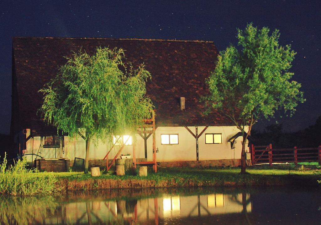 Pensiunea Violeta Saschiz Buitenkant foto