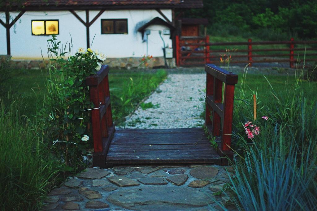 Pensiunea Violeta Saschiz Buitenkant foto