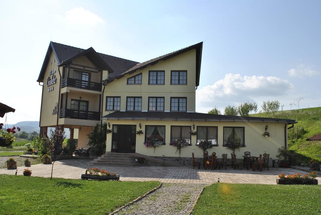 Pensiunea Violeta Saschiz Buitenkant foto