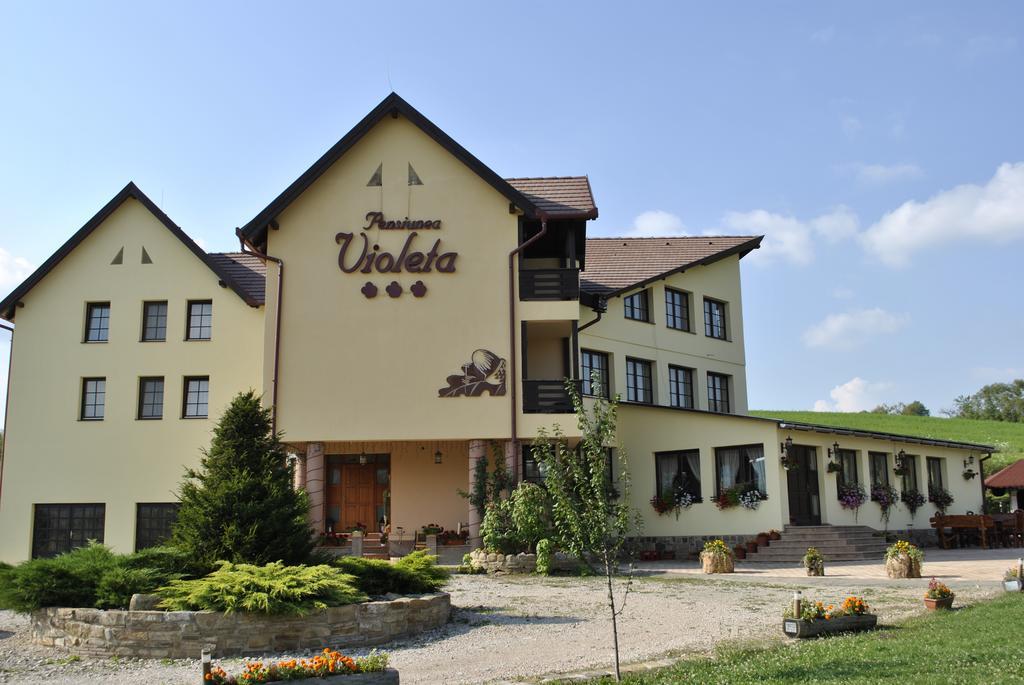 Pensiunea Violeta Saschiz Buitenkant foto