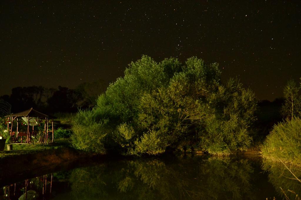Pensiunea Violeta Saschiz Buitenkant foto
