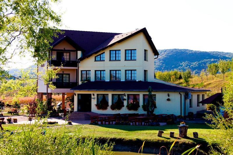 Pensiunea Violeta Saschiz Buitenkant foto